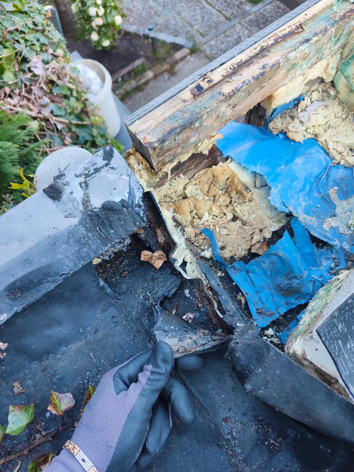 Dakonderhoud en reparatie door Reuvers